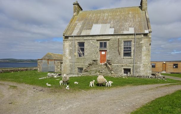 Hall of Clestrain surrounded by sheep